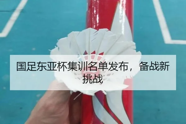 国足东亚杯集训名单发布，备战新挑战